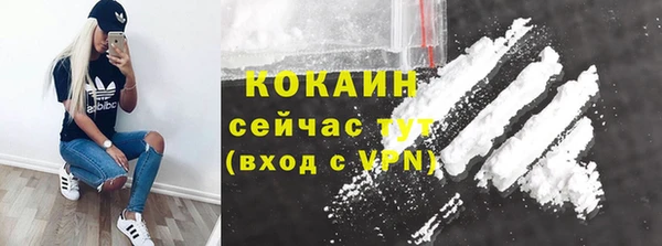 ешки Михайлов