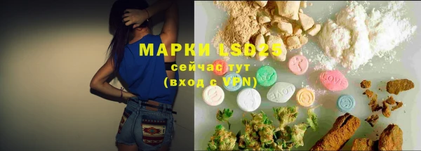 крисы Медногорск