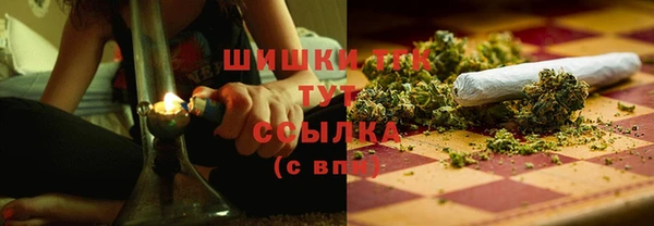 крисы Медногорск