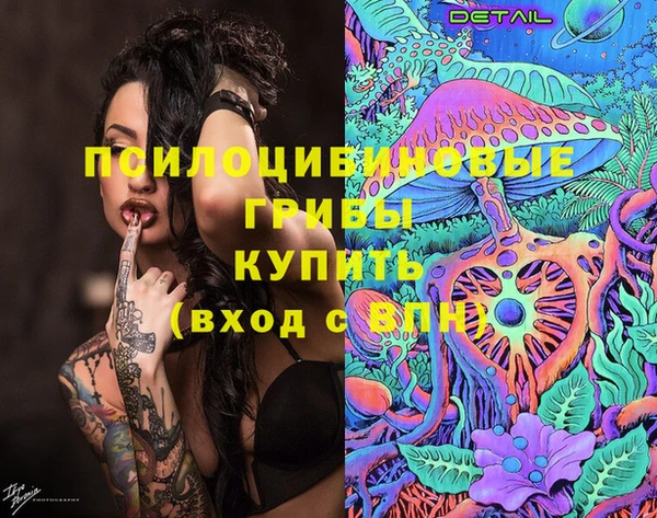 альфа пвп Медвежьегорск