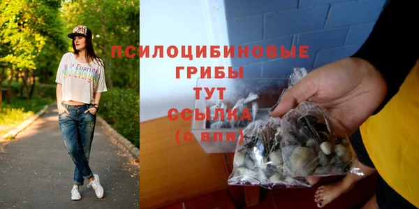 альфа пвп Медвежьегорск