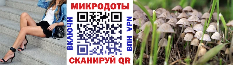 hydra рабочий сайт  Нижневартовск  Галлюциногенные грибы ЛСД 
