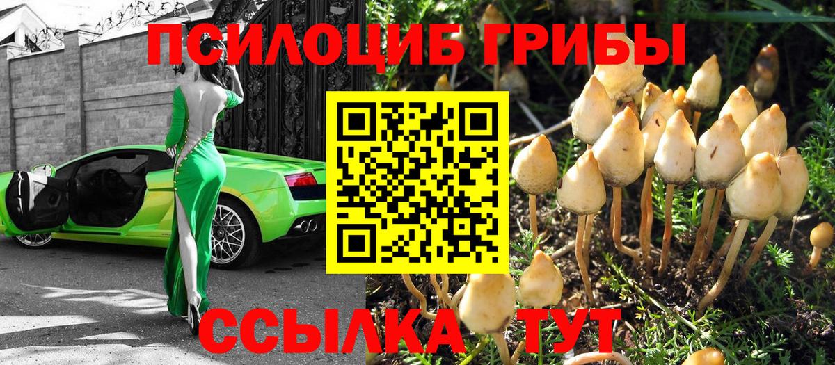 Псилоцибиновые грибы мицелий  Вход с VPN  Нижневартовск  Псилоцибиновые грибы Psilocybine cubensis 