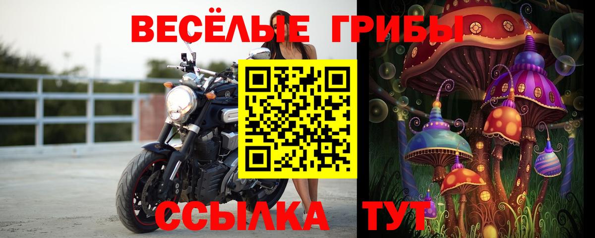 Галлюциногенные грибы GOLDEN TEACHER Нижневартовск
