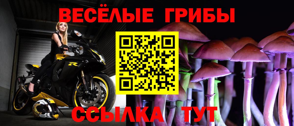 Галлюциногенные грибы Cubensis  Нижневартовск  купить закладку  Псилоцибиновые грибы мицелий 