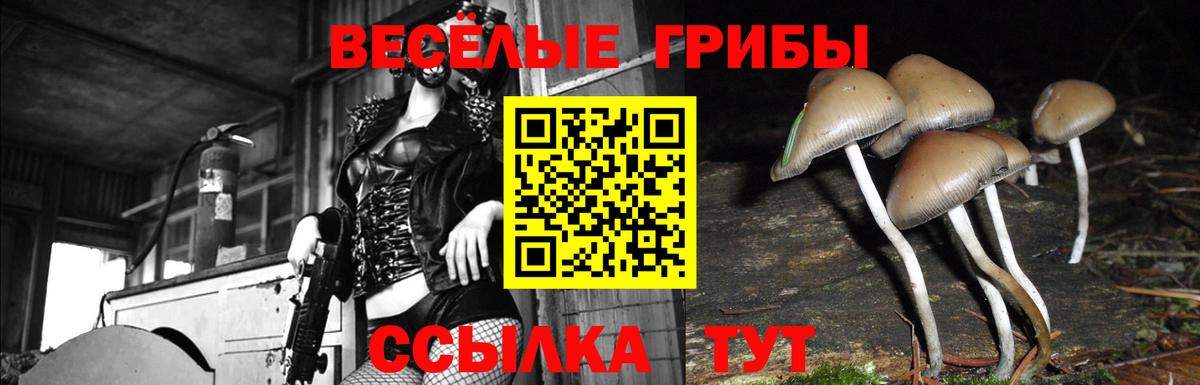 Галлюциногенные грибы мицелий Нижневартовск