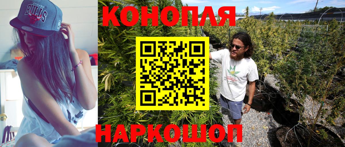 Бошки Шишки планчик  Шишки марихуана White Widow  Нижневартовск  Бошки Шишки сатива  Конопля Bruce Banner 